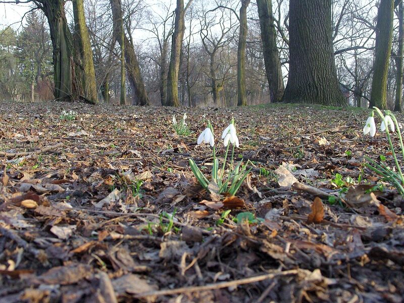 Park Poniatowskiego