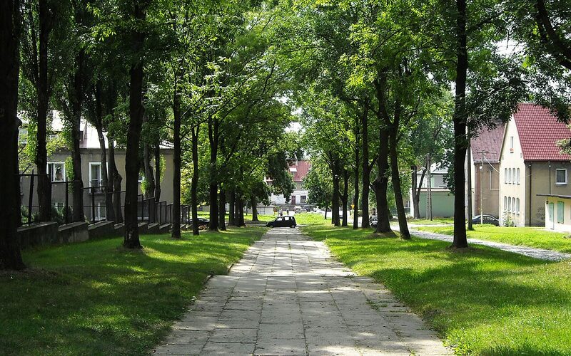 Widzew Wschód